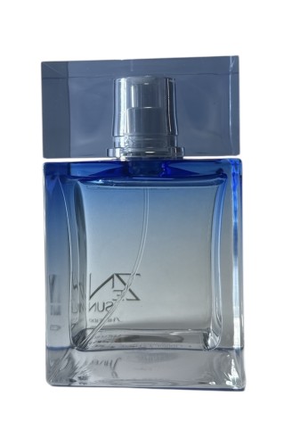 SHISEIDO ZEN SUN 100 ML FLAKON