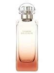 HERMES UN JARDIN SUR LA LAGUNE 100 ml FLAKON