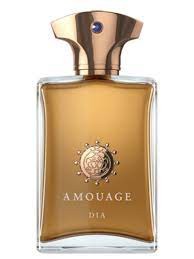 AMOUAGE DIA MAN 100 ml UNBOX
