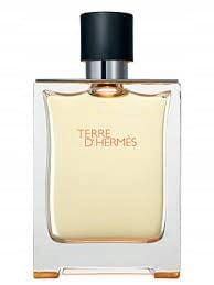 HERMES TERRE D'HERMES 100 ml FLAKON